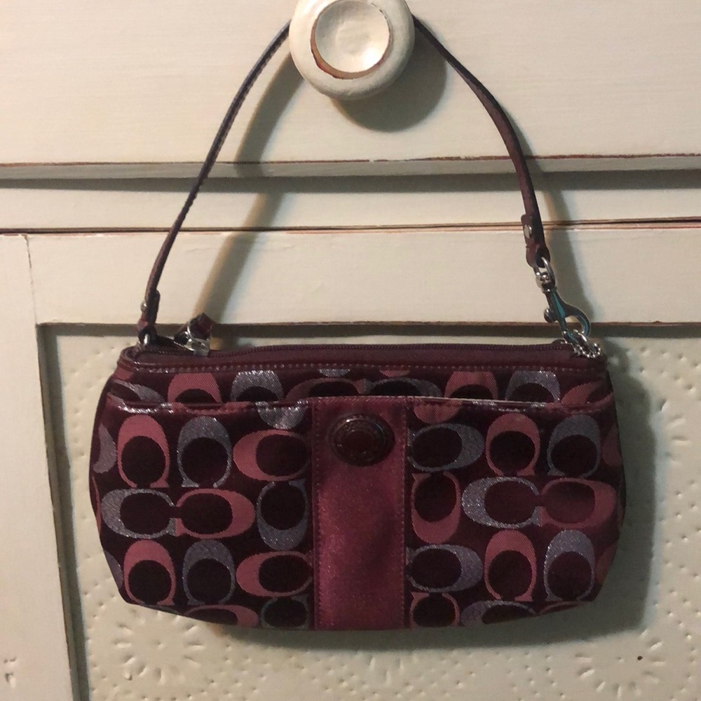 Wristlet/clutch